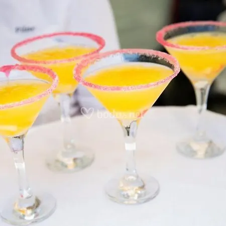 Lasa Sport Valladolid